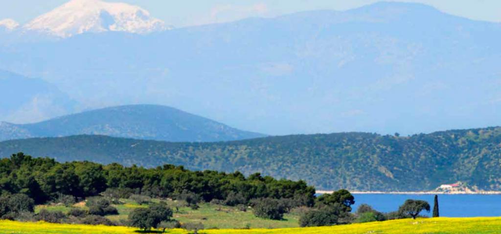 Extreme construction project "Kilada Hills" has just gained approval Extreme construction project "Kilada Hills" has just gained approval